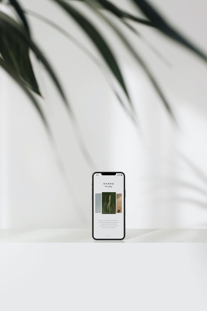 about-img Modern smartphone showcasing a website with minimalist design and plant shadows.